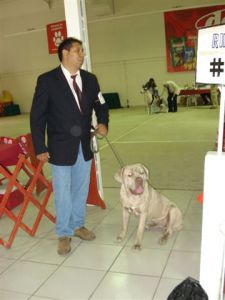 Esperando los resultados
