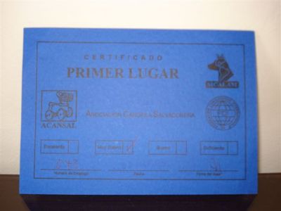 Mas Premios