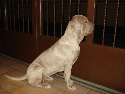 Hermoso Perfil